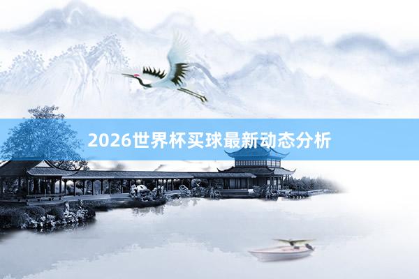 2026世界杯买球最新动态分析